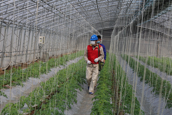 精细服务、数智运维双管齐下 多地保障春耕春种可靠用电